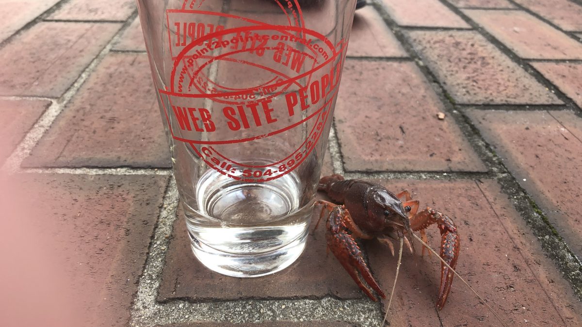 point2point Central pint glass with our crawfish friend